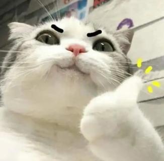 DƬ